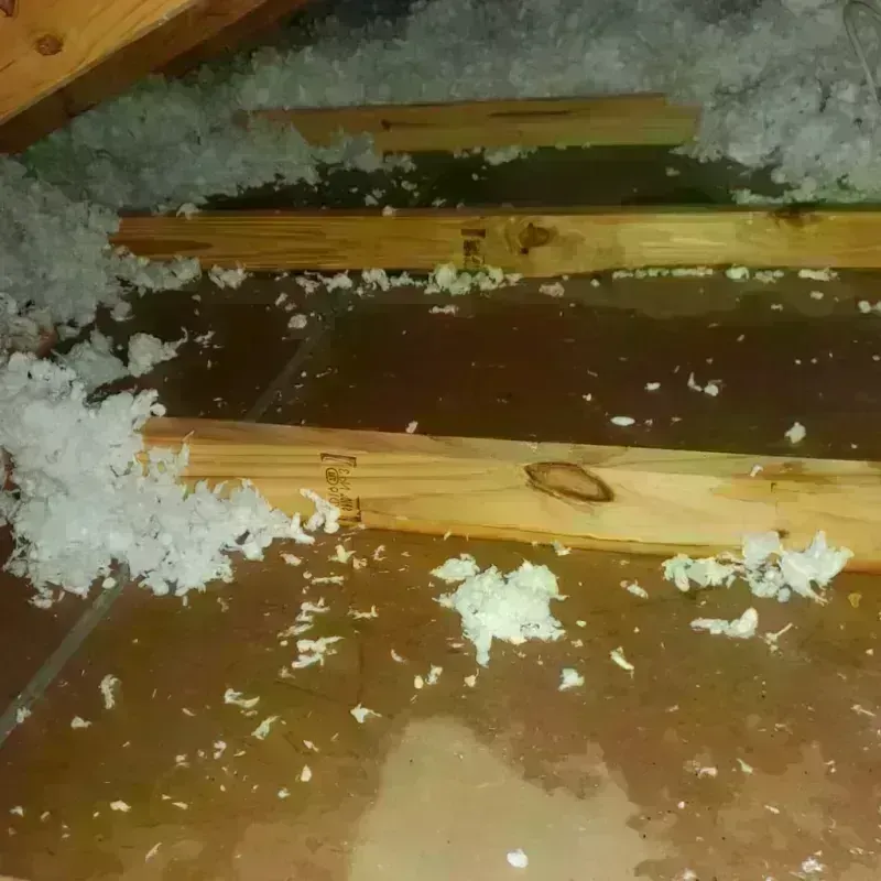 Attic Water Damage in Woodstock, NY