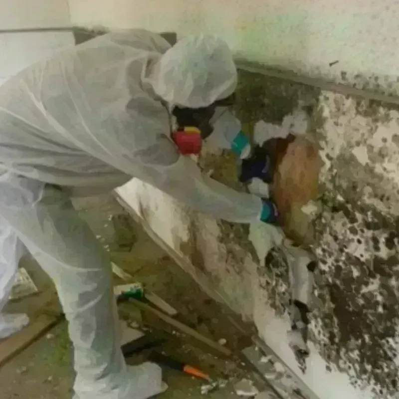 Mold Remediation and Removal in Woodstock, NY